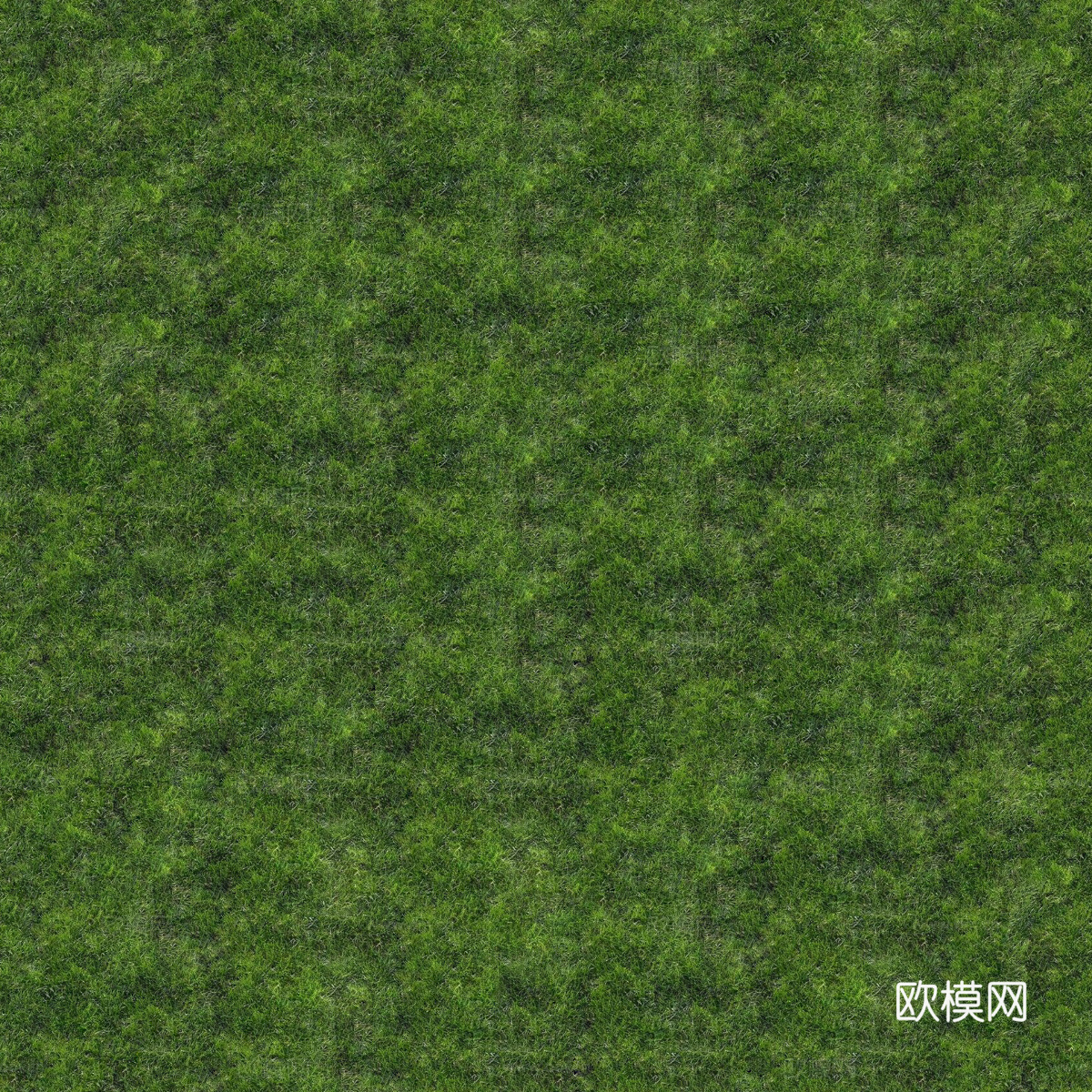 真实质感草地草坡绿地肌理纹理9