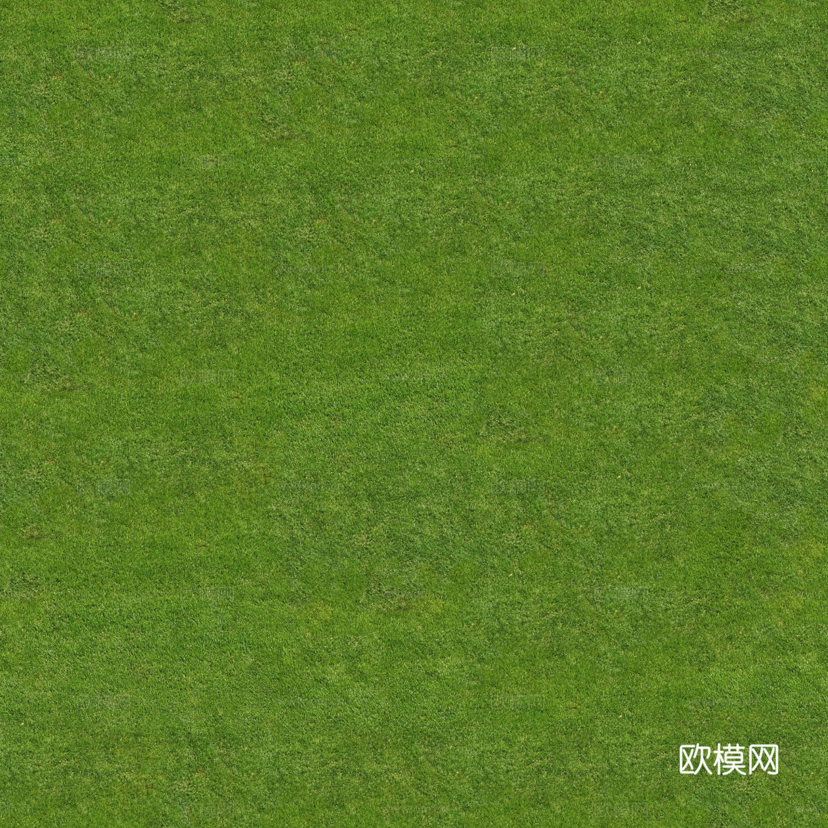 真实质感草地草坡绿地肌理纹理63
