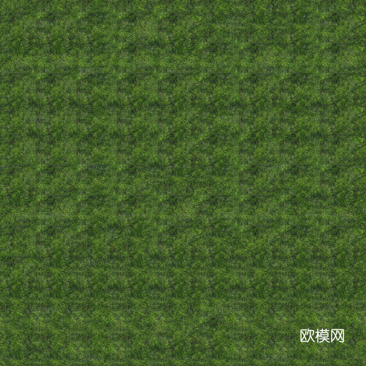 真实质感草地草坡绿地肌理纹理10