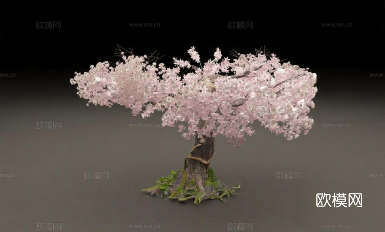 高清3D樱花树模型 写实CG数字艺术资产 游戏场景概念设计 粉白花瓣细节渲染 树干苔藓纹理资源免费3d模型