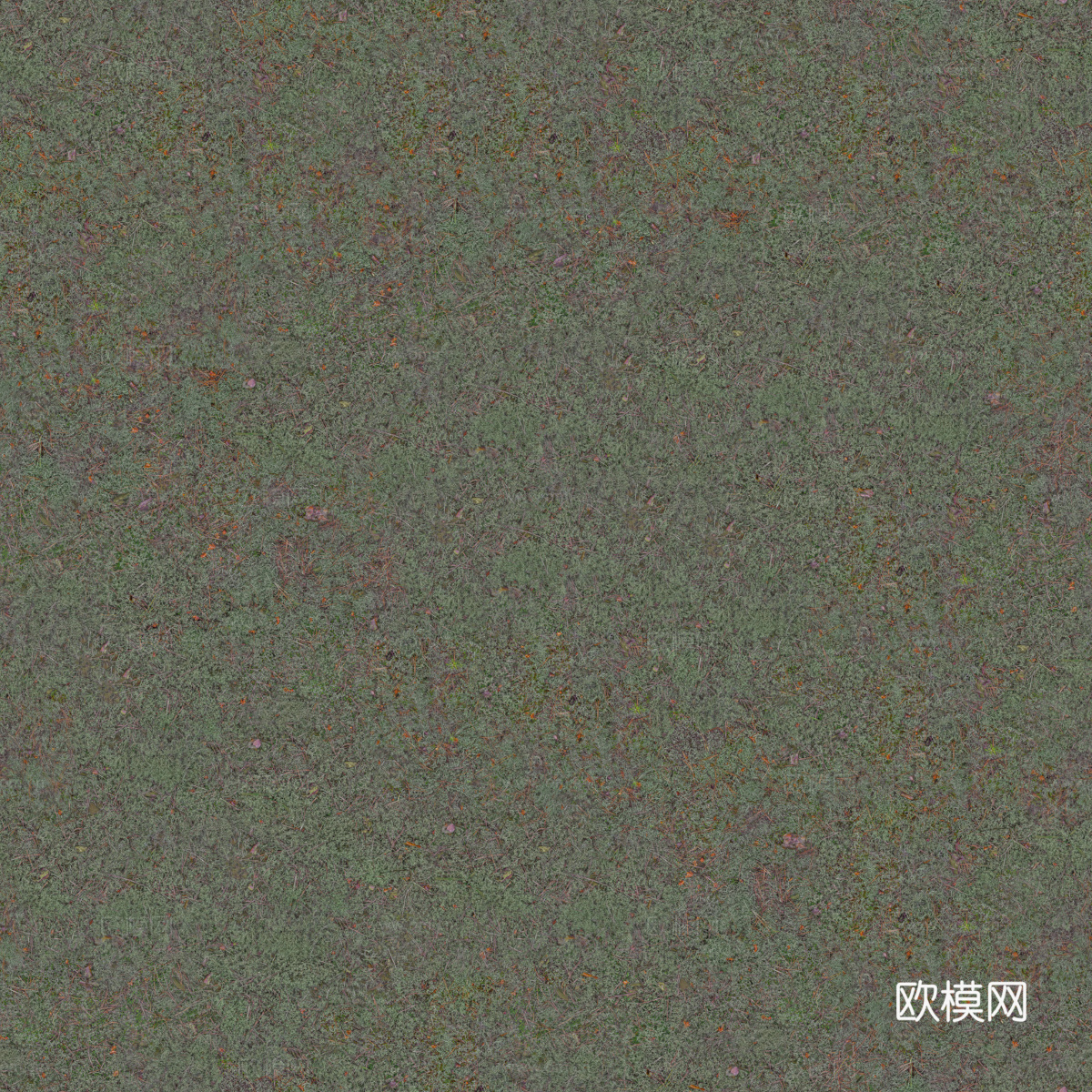 真实质感草地草坡绿地肌理纹理52