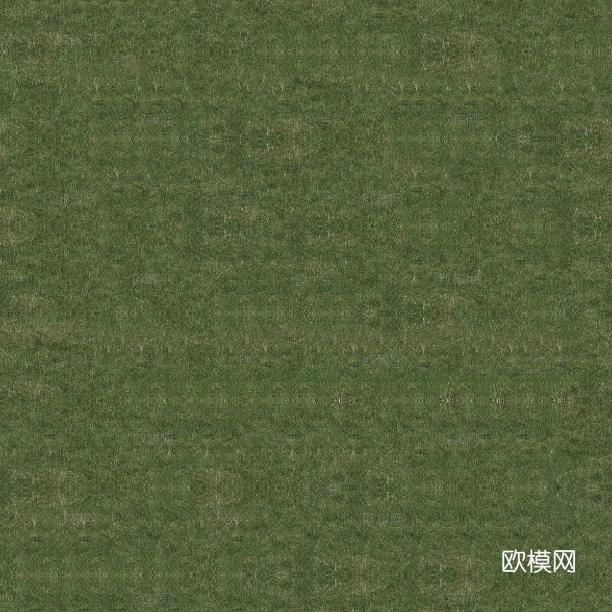 真实质感草地草坡绿地肌理纹理85