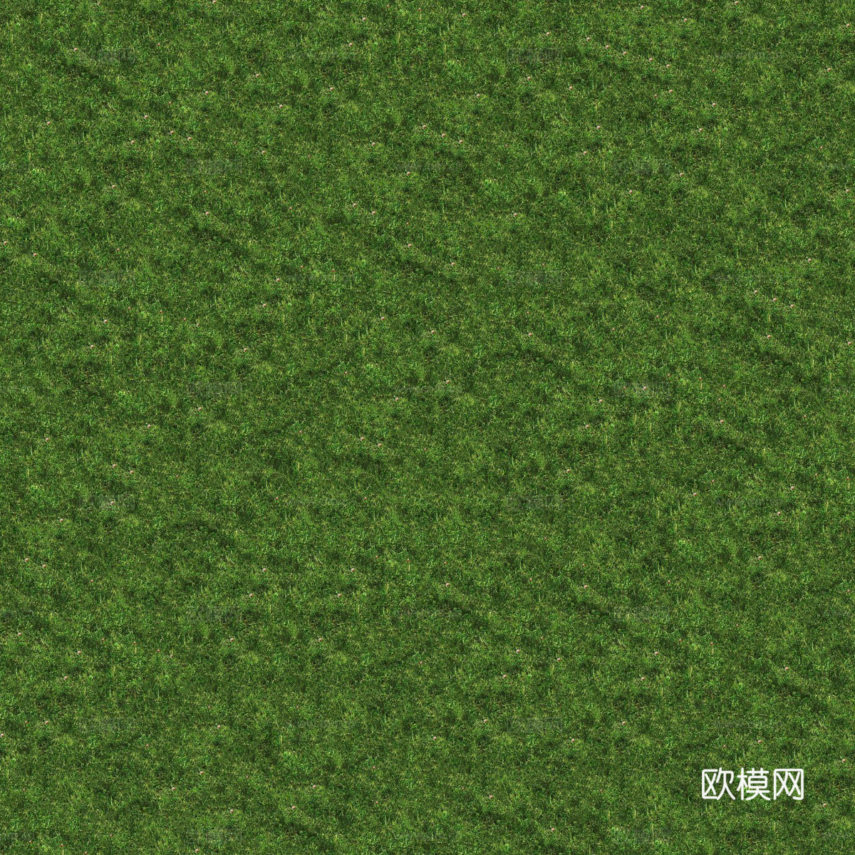 真实质感草地草坡绿地肌理纹理65