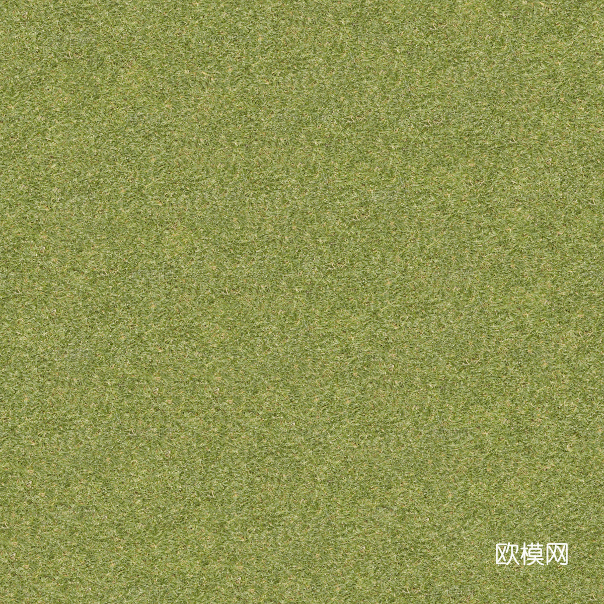 真实质感草地草坡绿地肌理纹理188下载