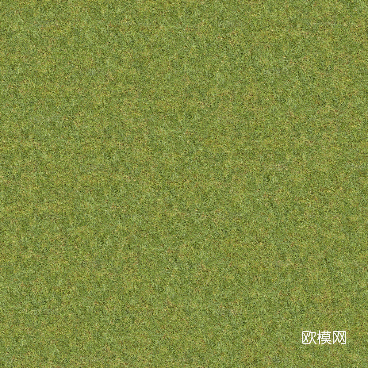 真实质感草地草坡绿地肌理纹理143