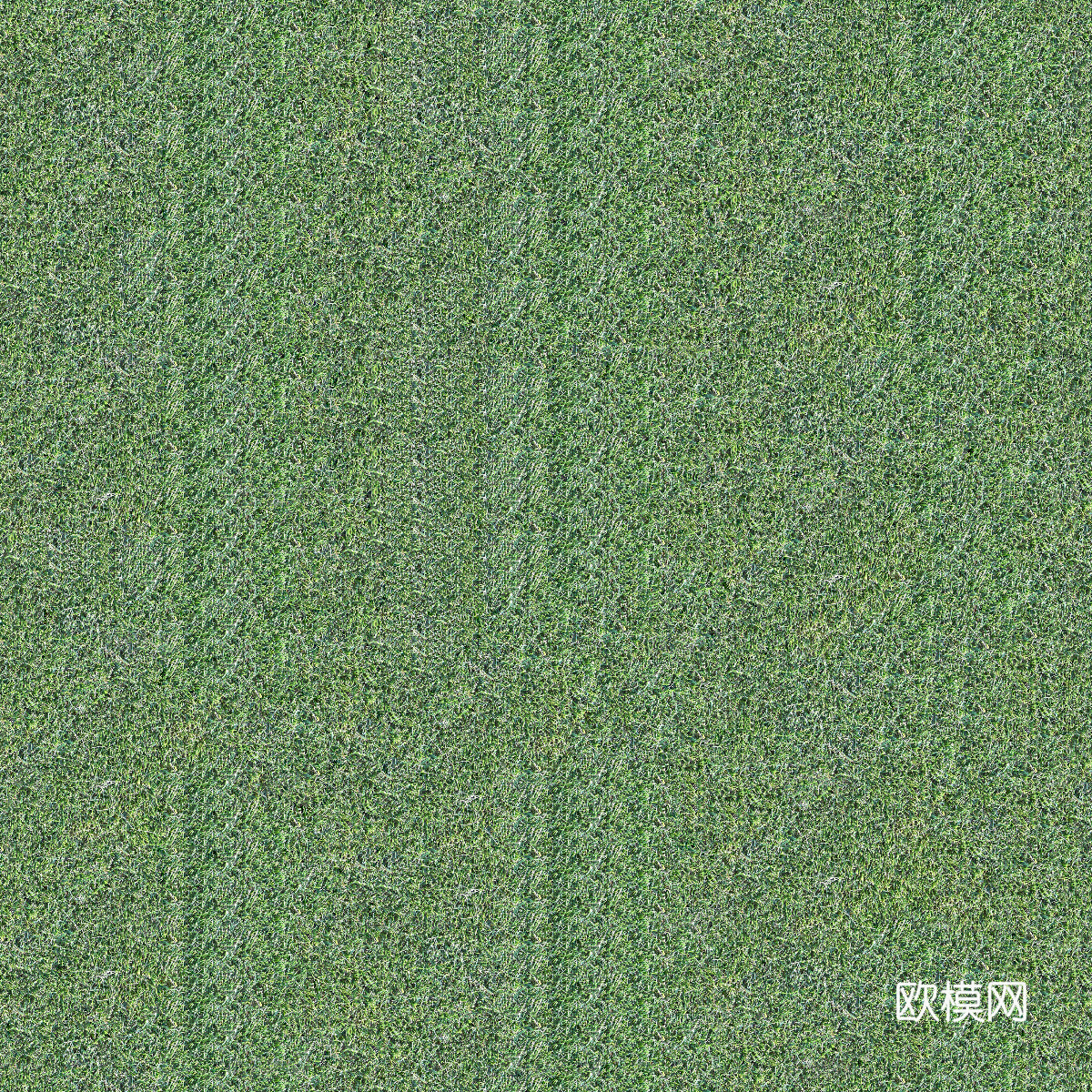 真实质感草地草坡绿地肌理纹理110
