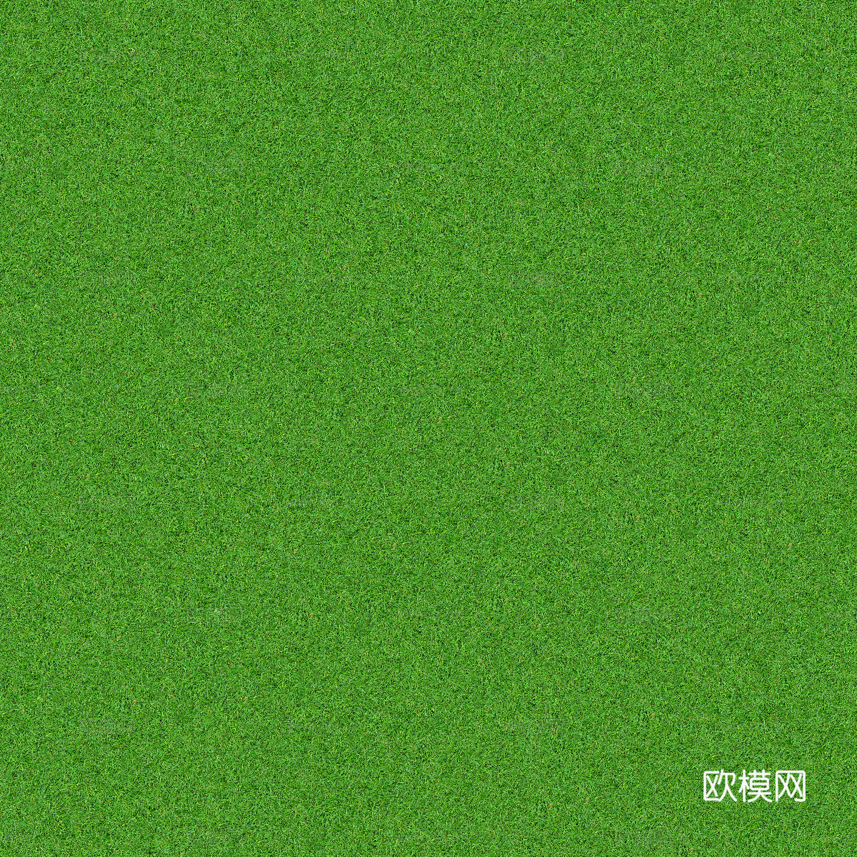 真实质感草地草坡绿地肌理纹理27