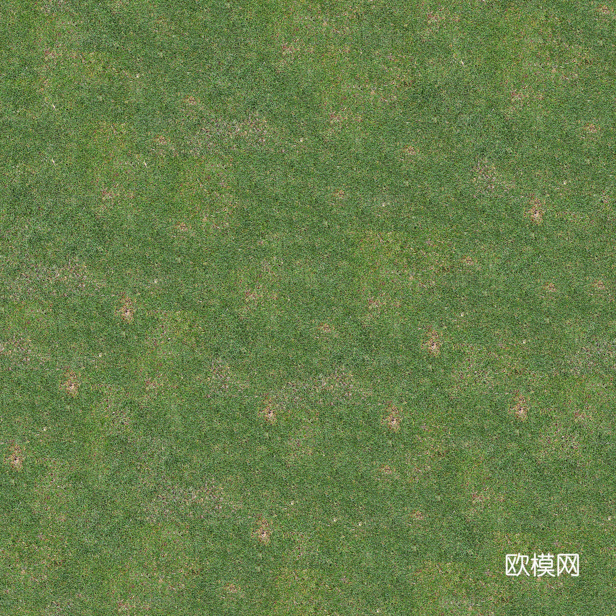 真实质感草地草坡绿地肌理纹理118