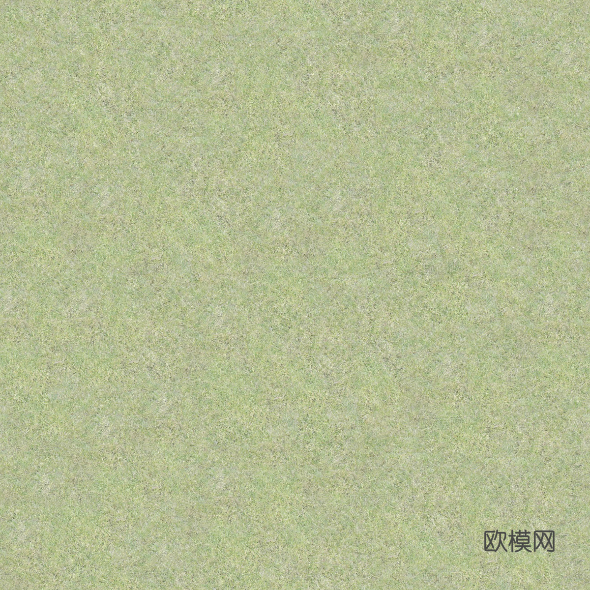 真实质感草地草坡绿地肌理纹理76