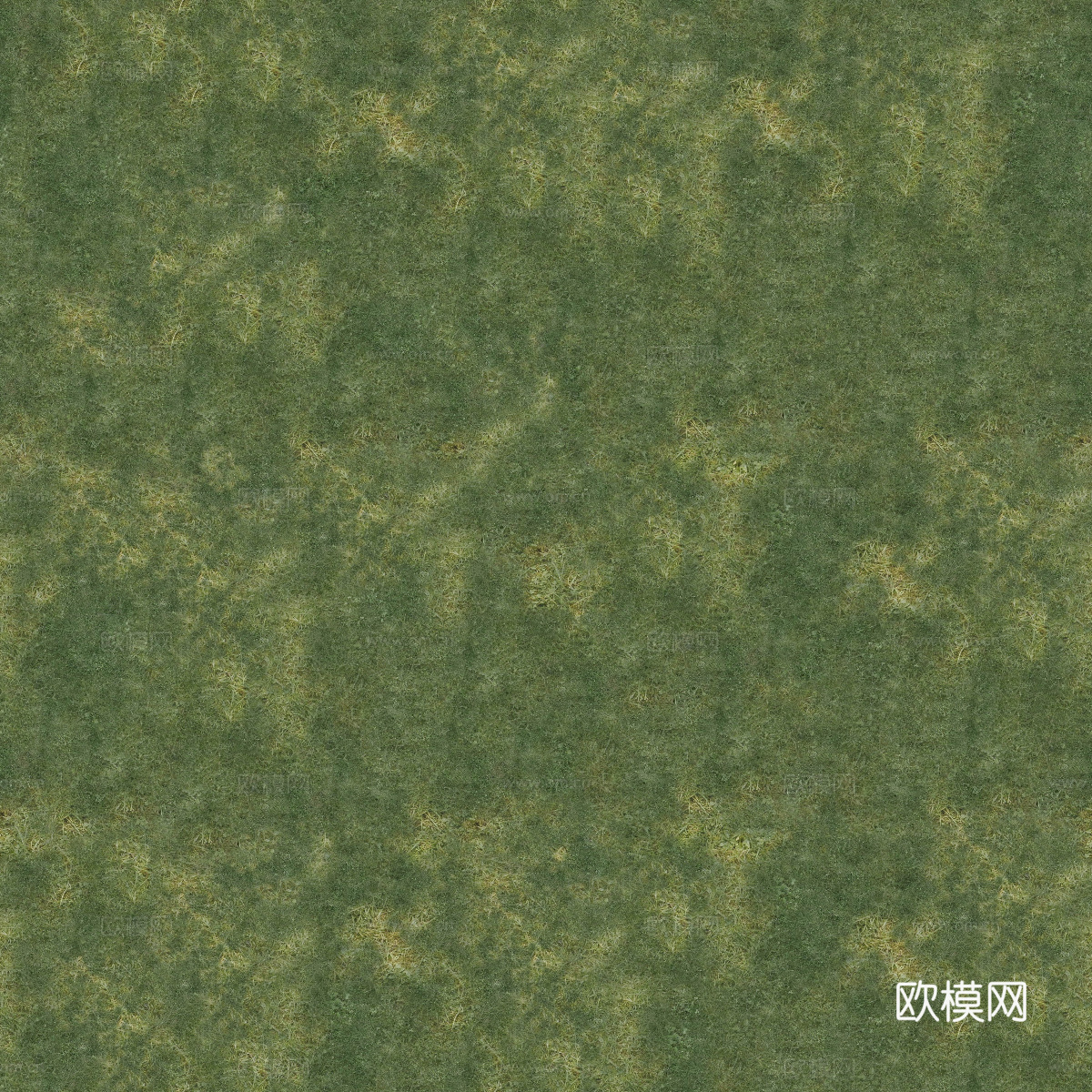 真实质感草地草坡绿地肌理纹理7下载