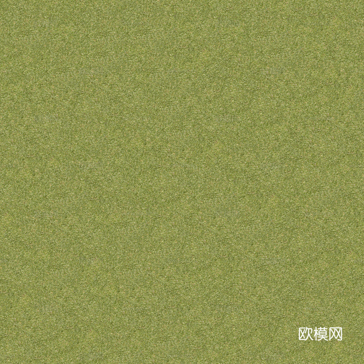 真实质感草地草坡绿地肌理纹理142下载