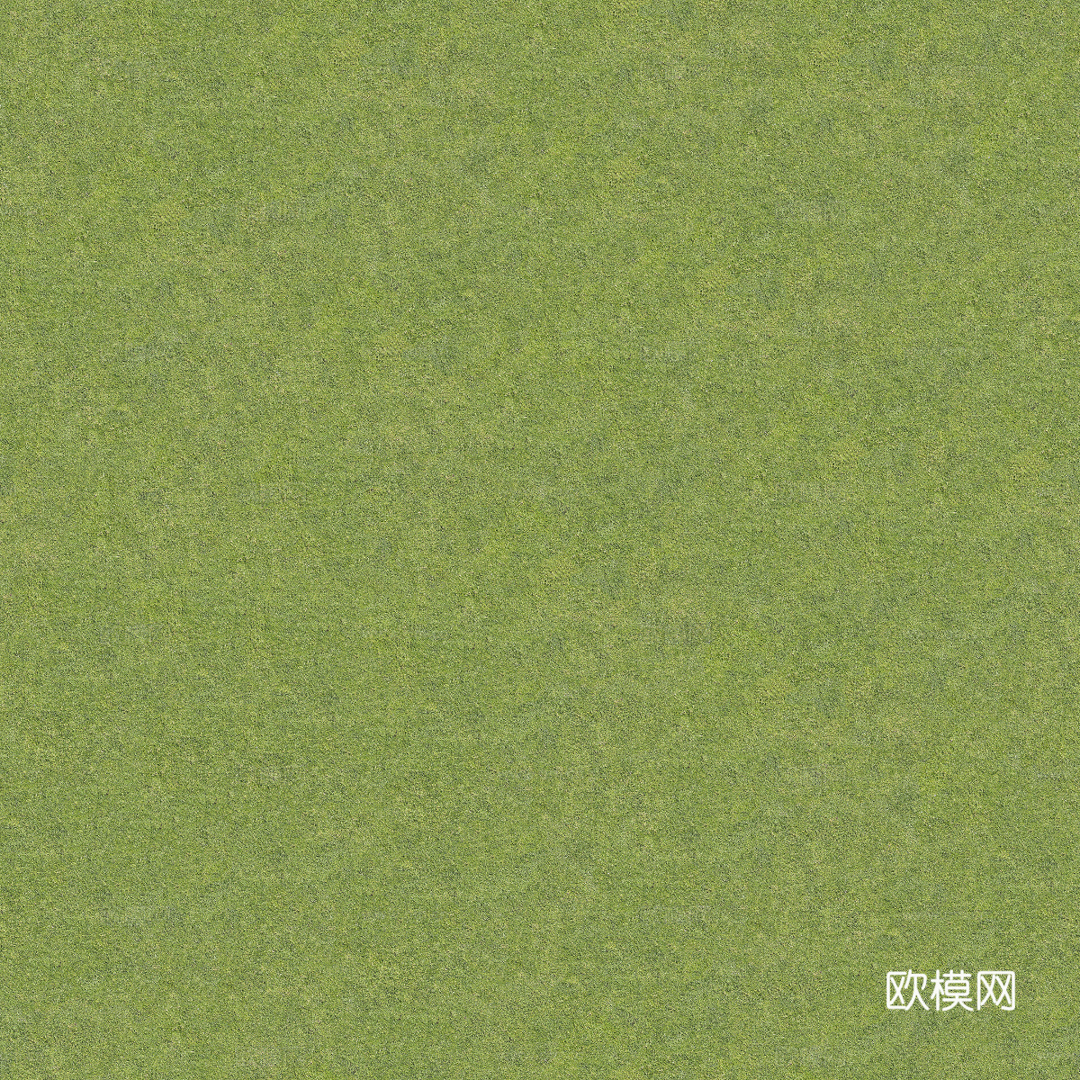 真实质感草地草坡绿地肌理纹理153