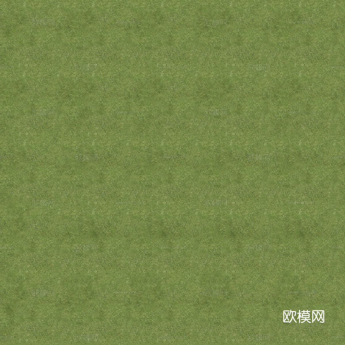 真实质感草地草坡绿地肌理纹理14
