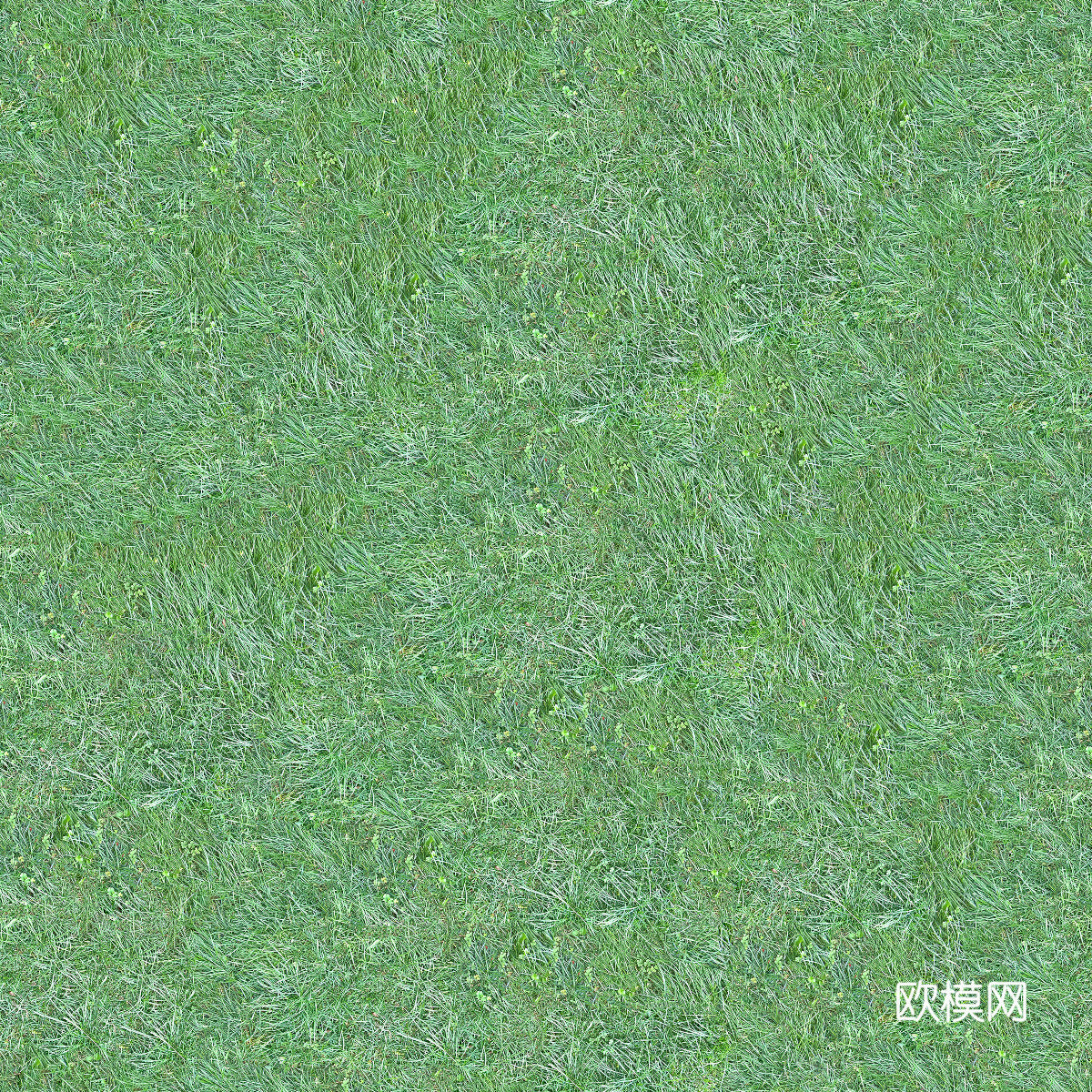 真实质感草地草坡绿地肌理纹理95