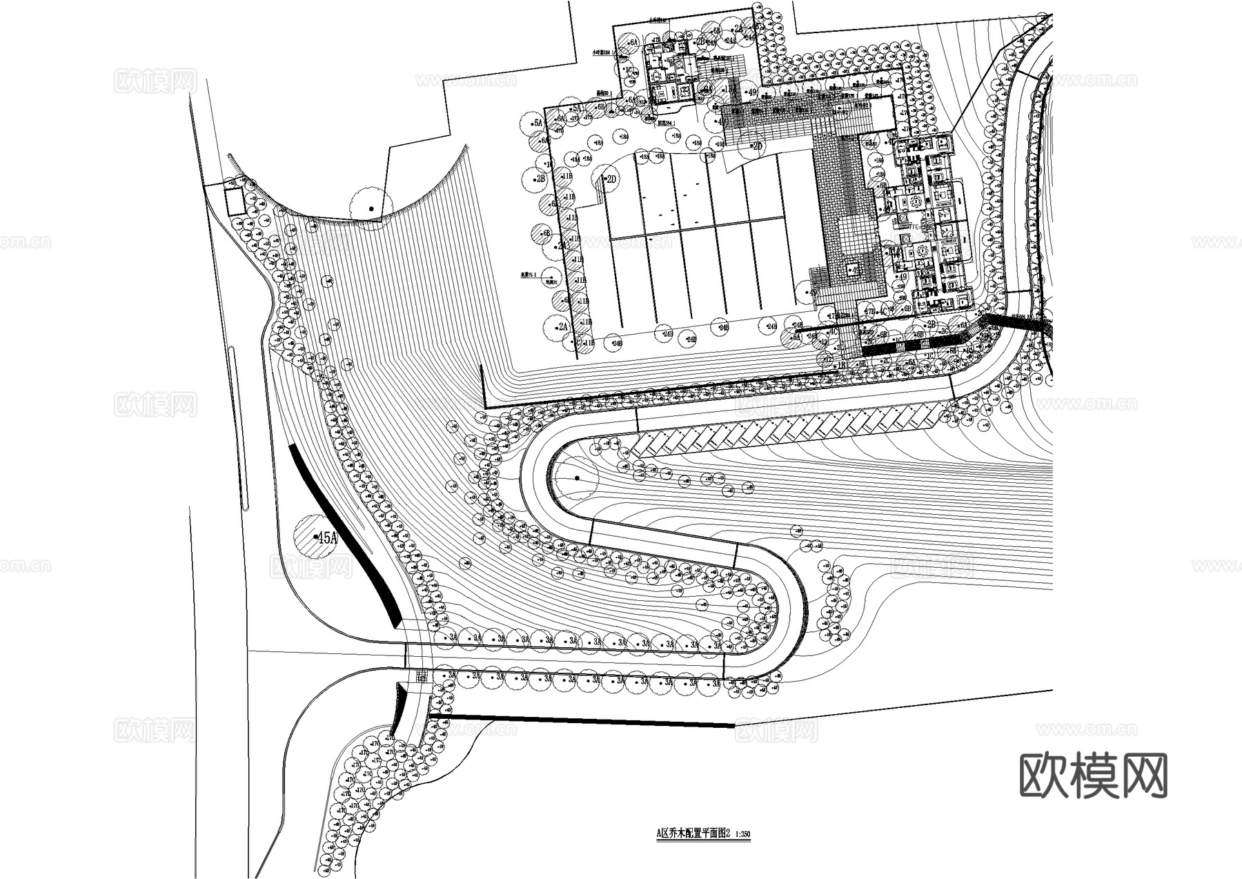 示范区景观植物种植绿化配置平面图 展示区样板区cad施工图