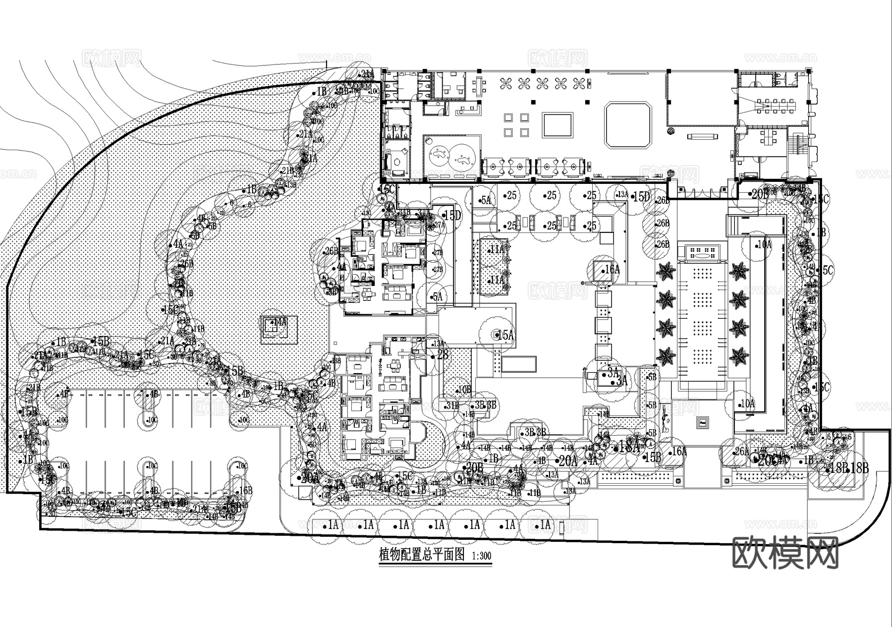 示范区景观植物种植绿化配置总平面图 展示区样板区cad施工图