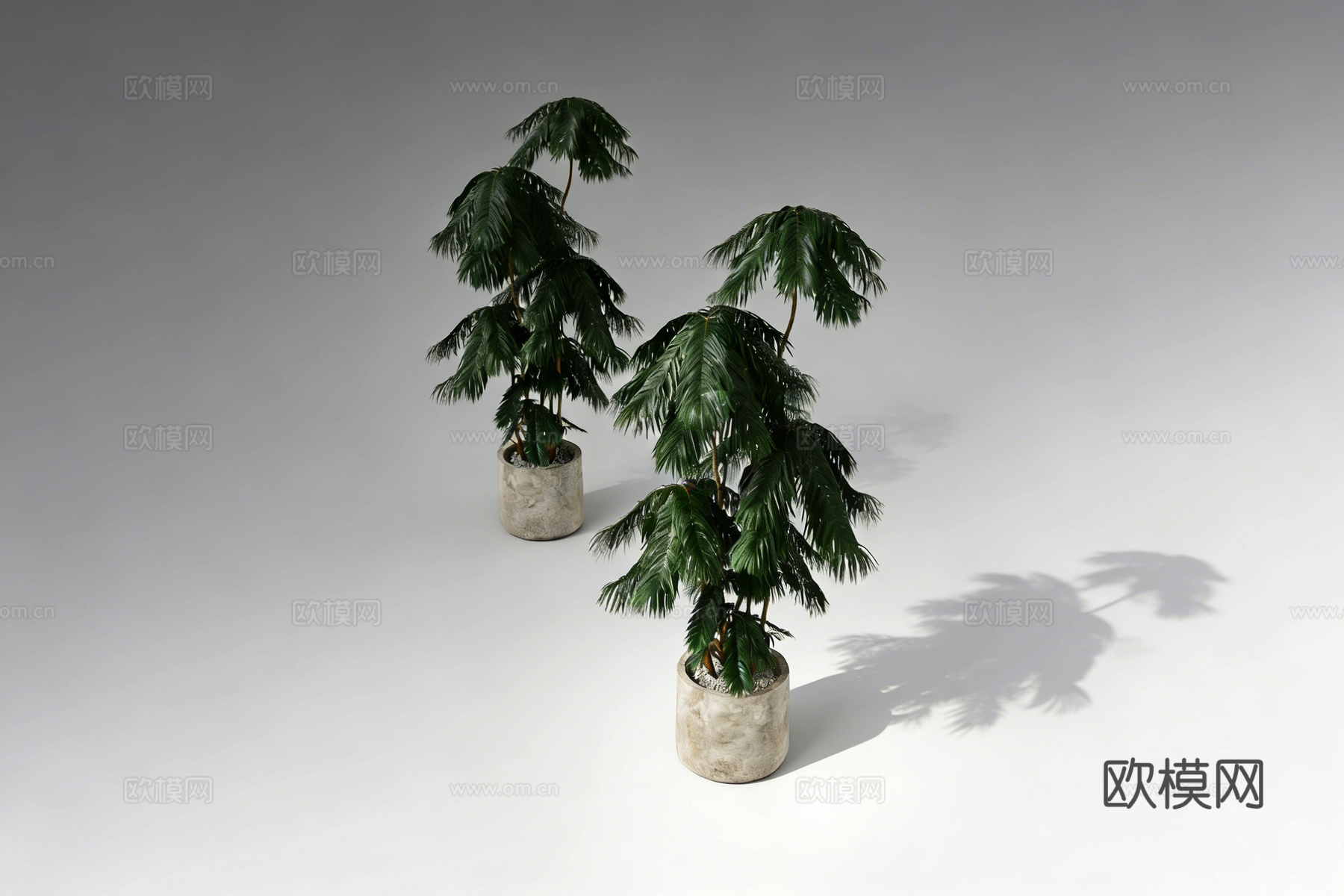 现代简约美洲杉盆栽   水泥花盆  室内绿植软装 混凝土花盆su模型