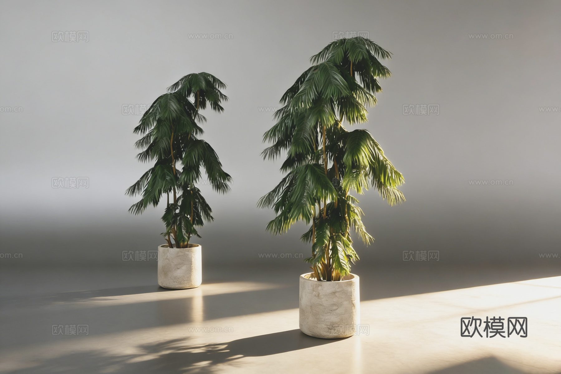 现代简约美洲杉盆栽   水泥花盆  室内绿植软装 混凝土花盆su模型