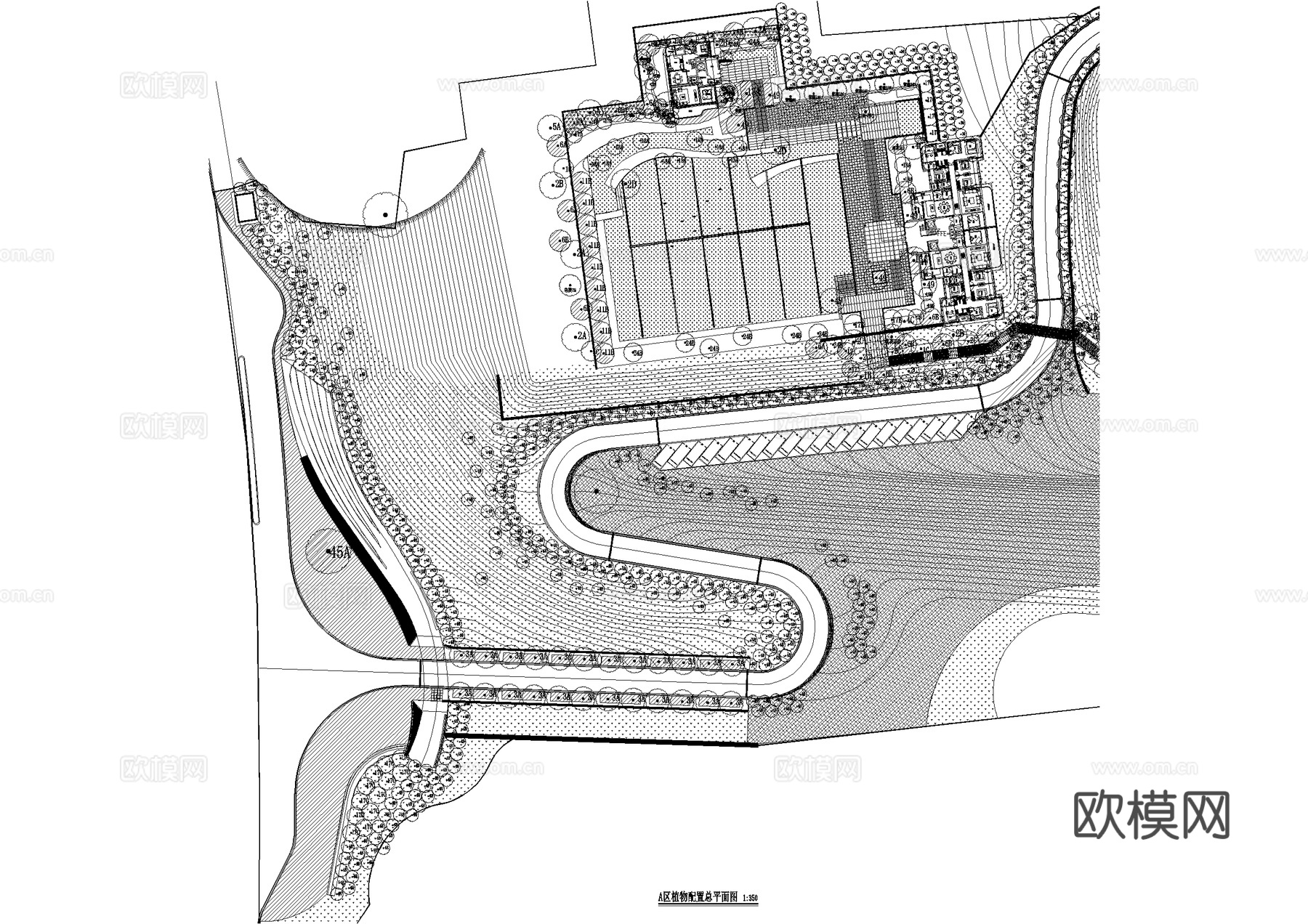 示范区景观植物种植绿化配置平面图 展示区样板区cad施工图