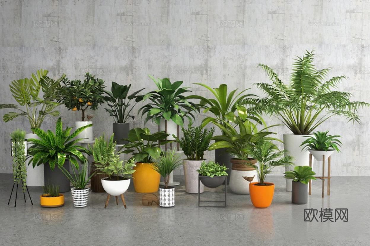 现代工业风家居绿植装饰 3D模型植物美学设计素材免费3d模型