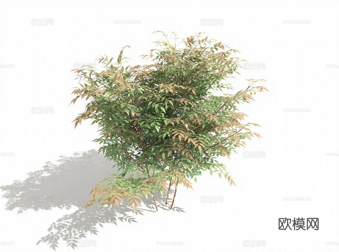高清3D灌木植物模型 写实自然景观植被素材 渲染图白底立体阴影免费3d模型