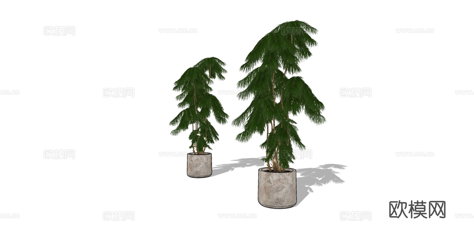 现代简约美洲杉盆栽   水泥花盆  室内绿植软装 混凝土花盆su模型