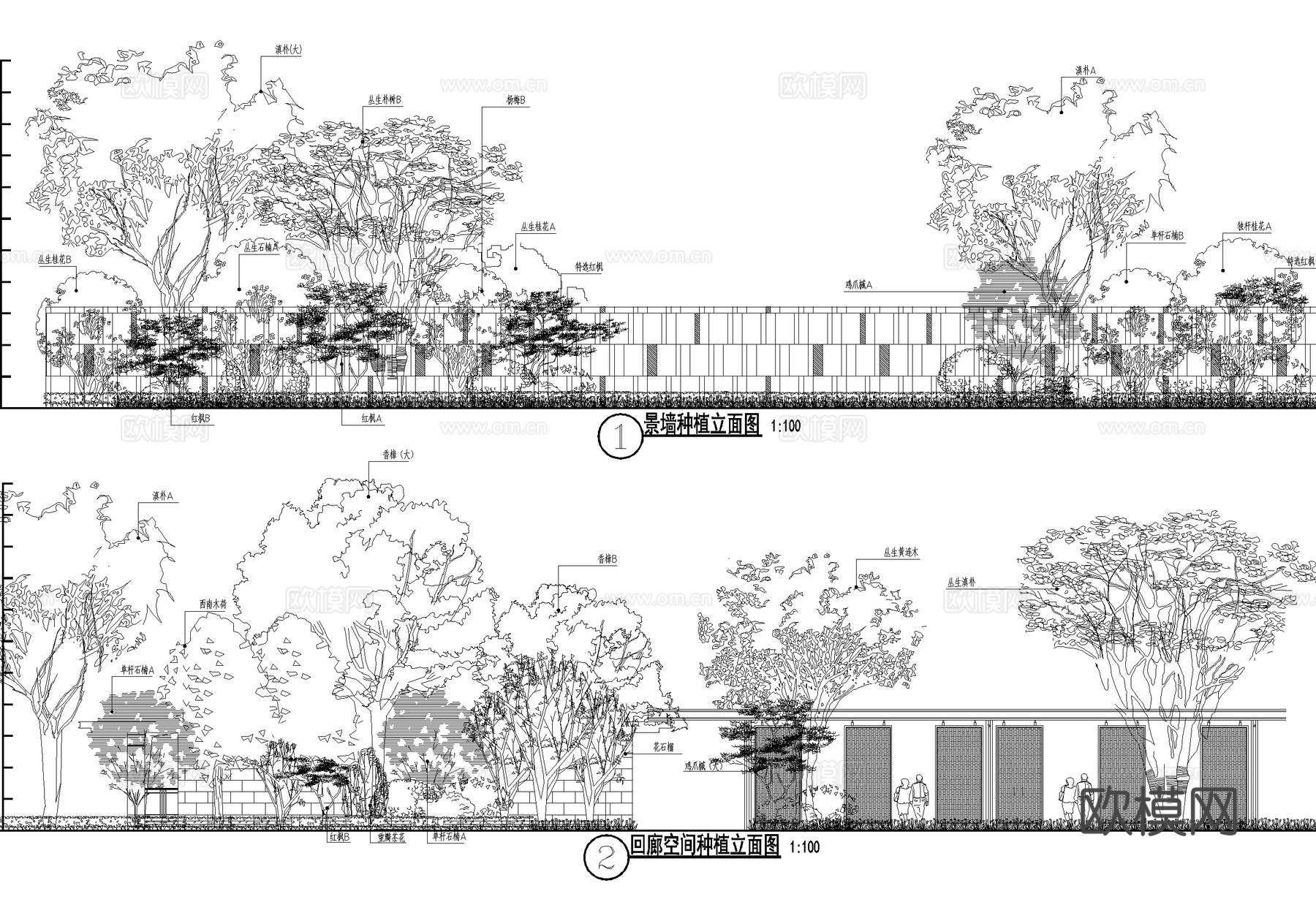 示范区景观植物种植绿化配置平立面图 展示区样板区cad施工图cad施工图
