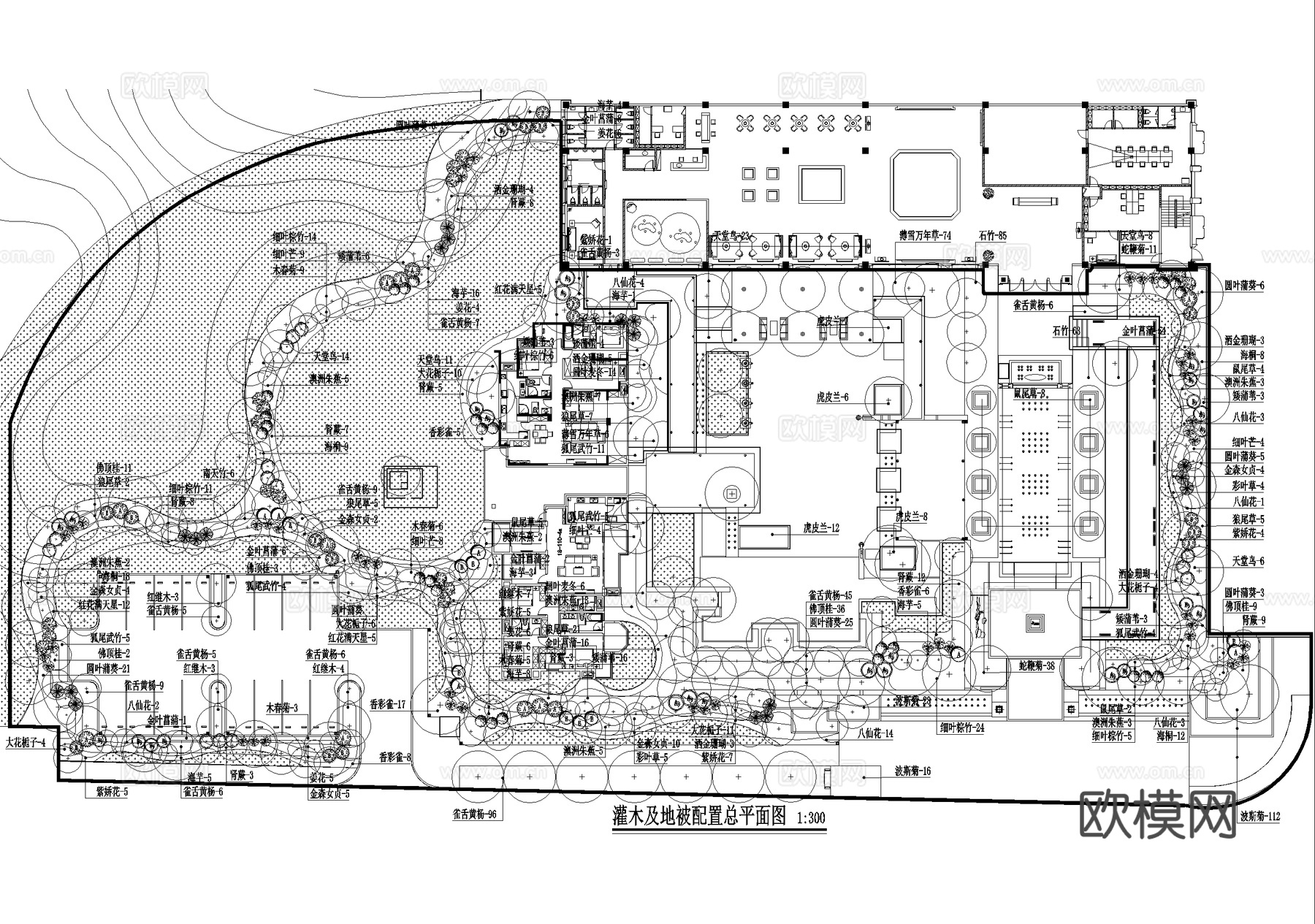 示范区景观植物种植绿化配置总平面图 展示区样板区cad施工图