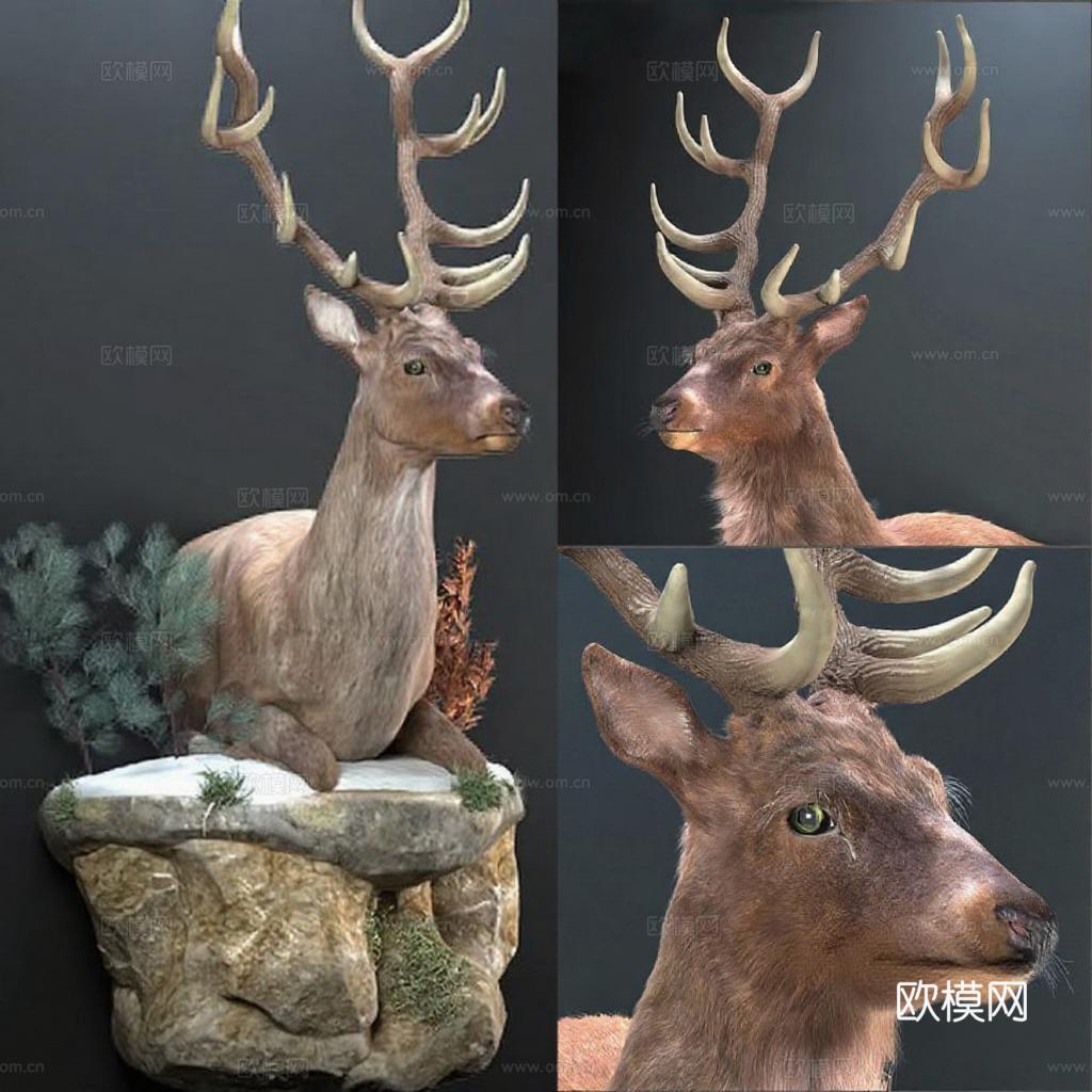3D雄鹿动物雕塑 逼真毛发鹿角多角度展示 苔藓岩石底座家居装饰品免费3d模型