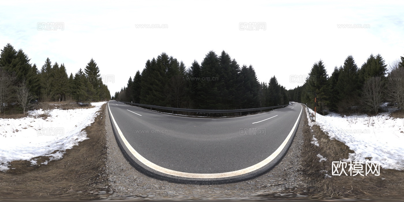 冬季马路树木雪地阴天HDR