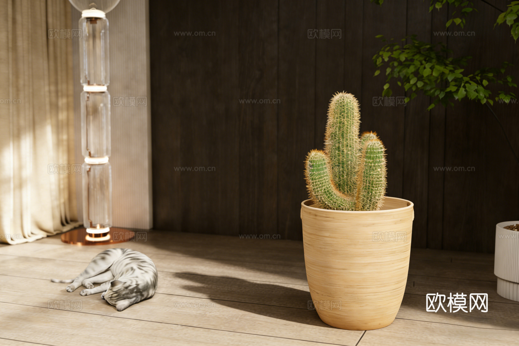 现代仙人掌盆栽 睡觉猫咪 玻璃落地灯su模型