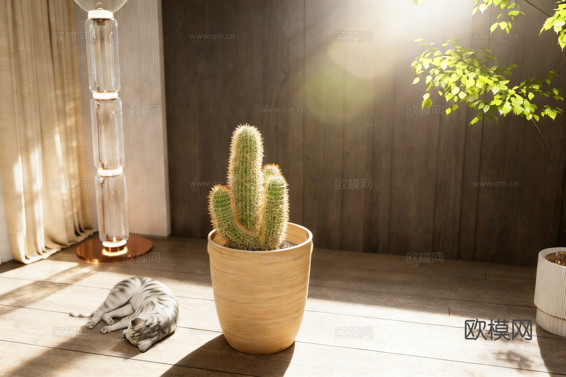 现代仙人掌盆栽 睡觉猫咪 玻璃落地灯su模型