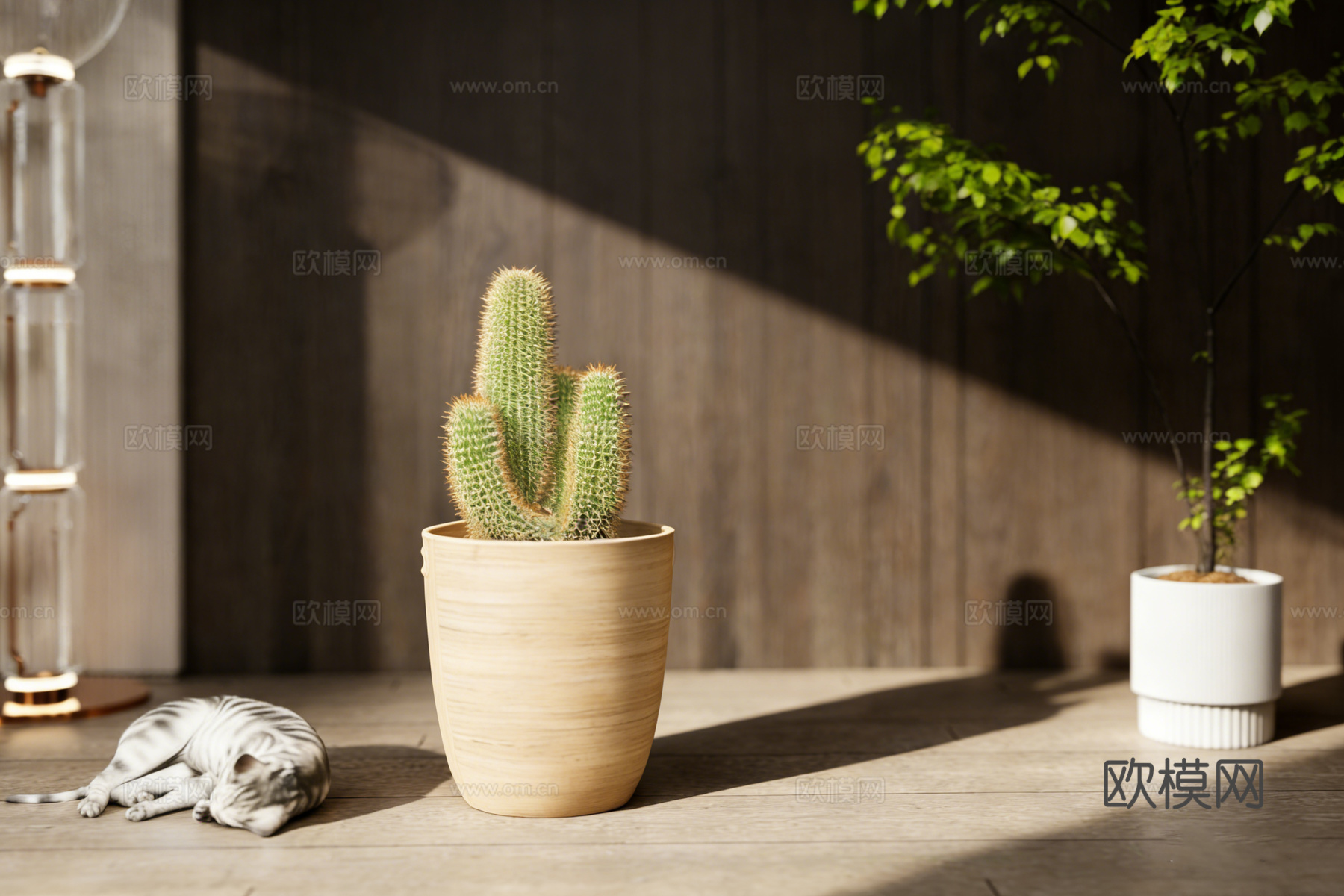 现代仙人掌盆栽 睡觉猫咪 玻璃落地灯su模型