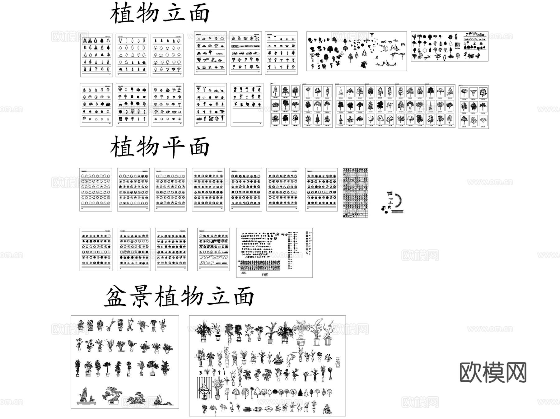 常用园林景观植物平立面图块CAD施工图集cad施工图