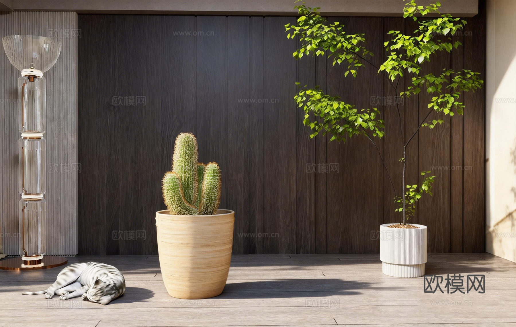 现代仙人掌盆栽 睡觉猫咪 玻璃落地灯su模型