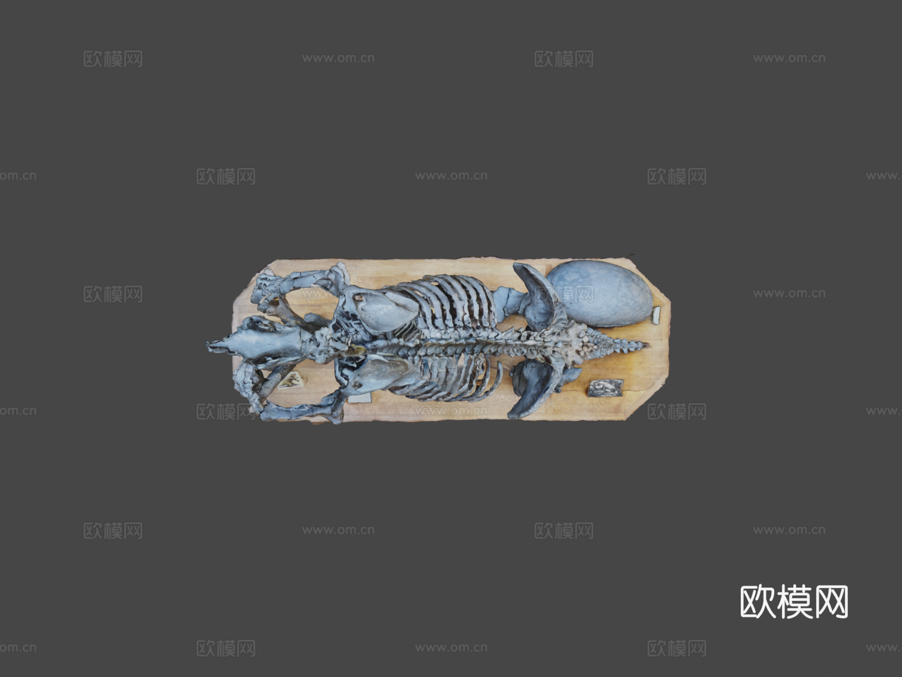 第300天大地懒巨型地懒3d模型下载（渲染图5）