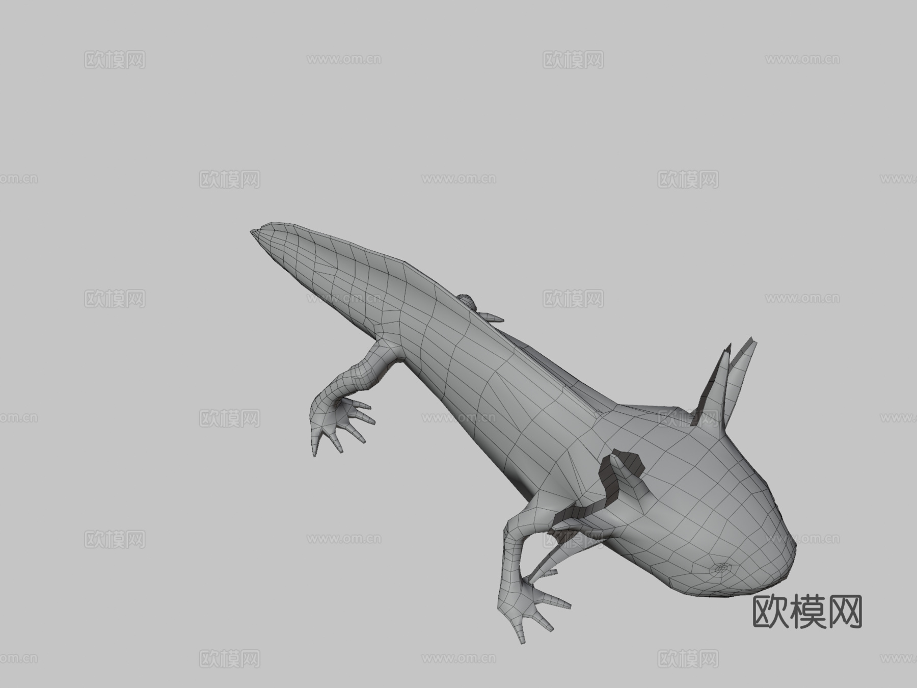 美西螈3d模型下载（渲染图3）