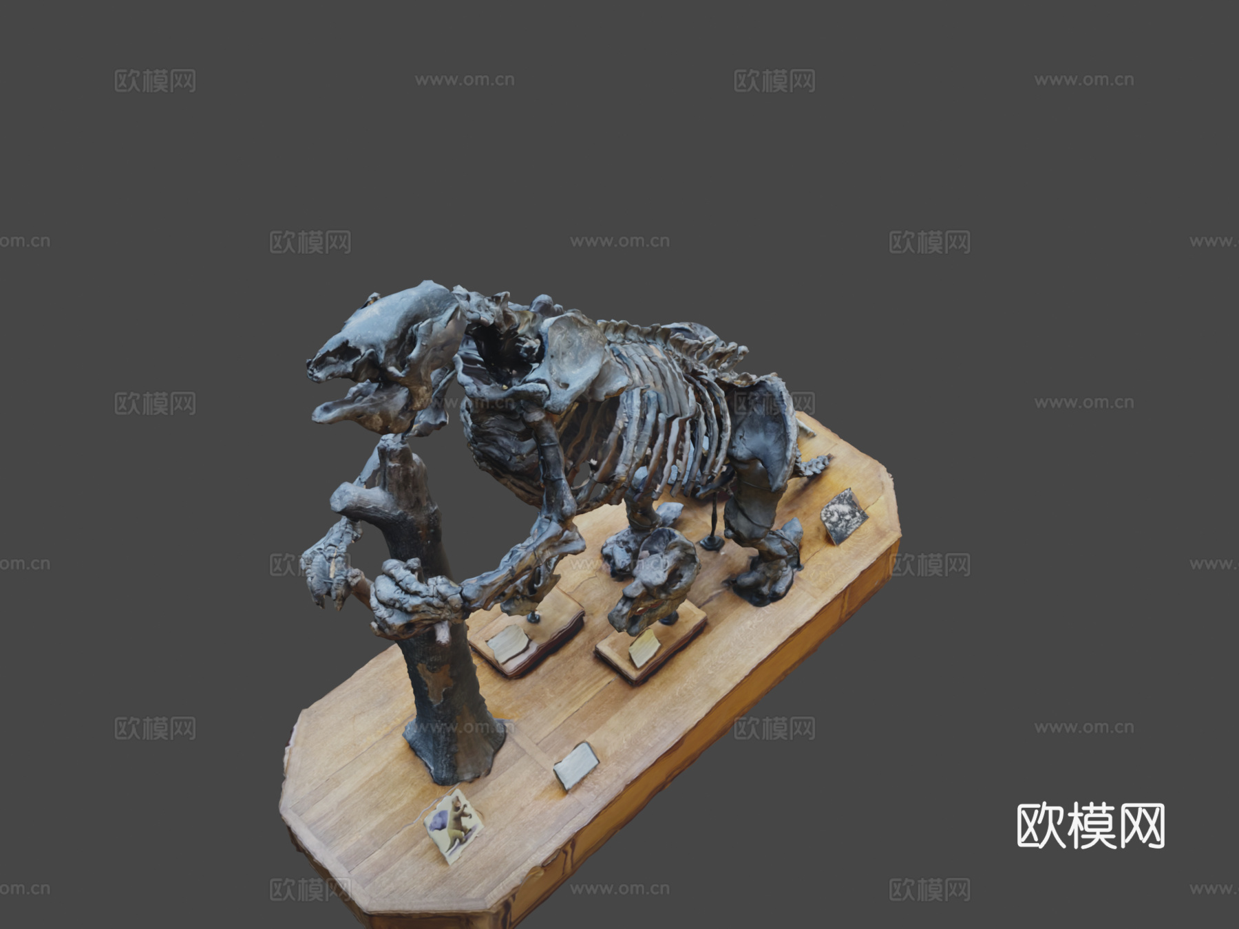 第300天大地懒巨型地懒3d模型下载（渲染图8）