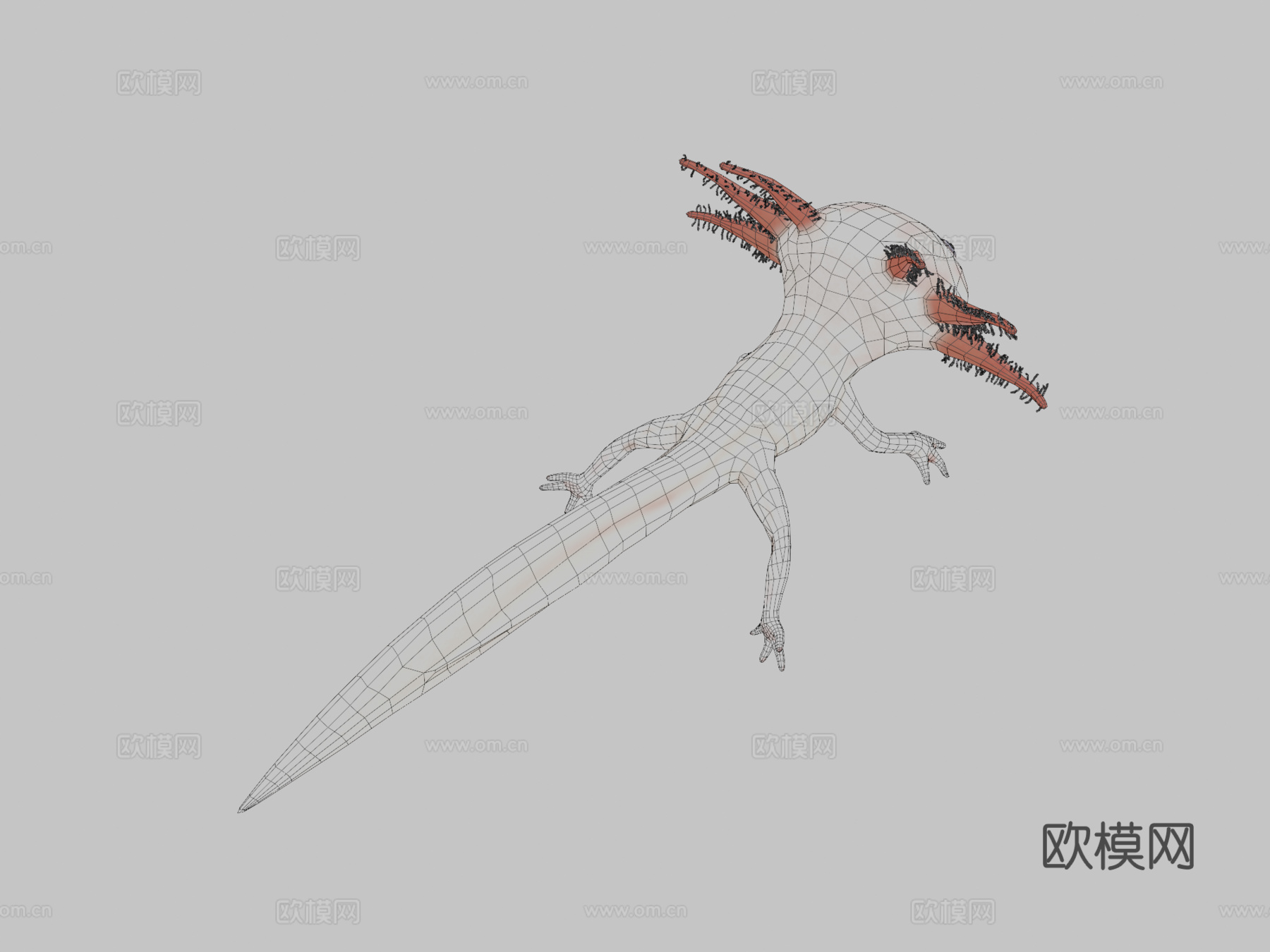 美西螈3d模型下载（渲染图2）