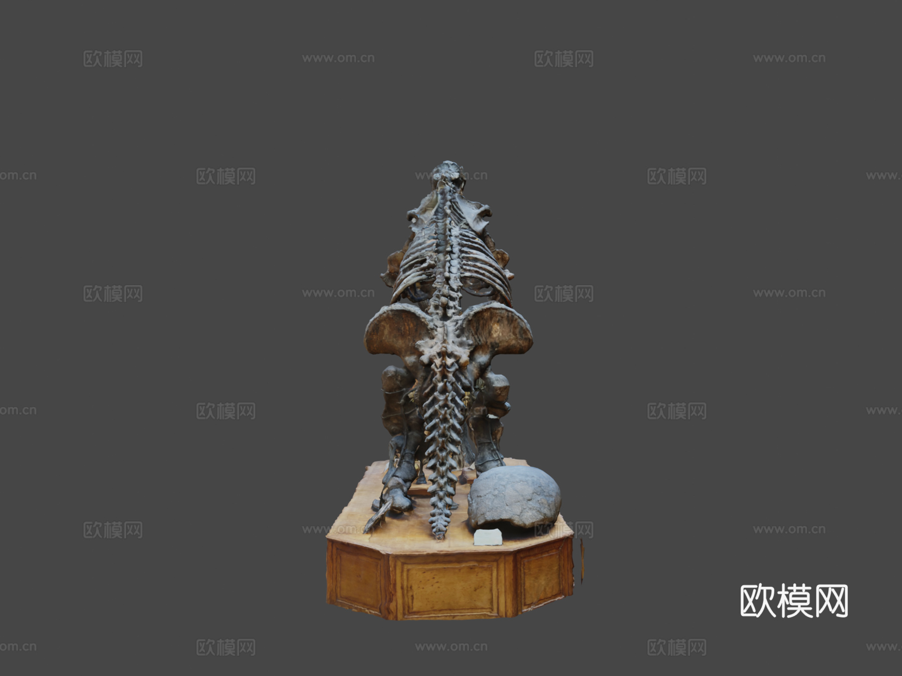 第300天大地懒巨型地懒3d模型下载（渲染图6）