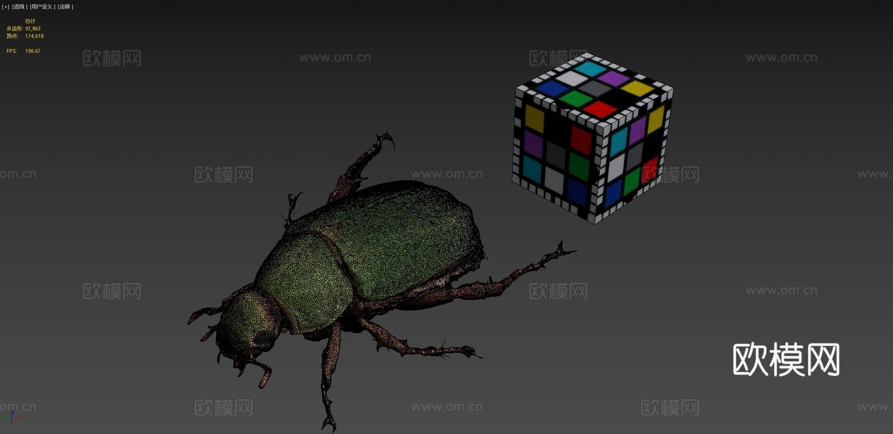 CC0青铜金龟蓝色甲虫A.albopilosa3d模型下载（渲染图4）