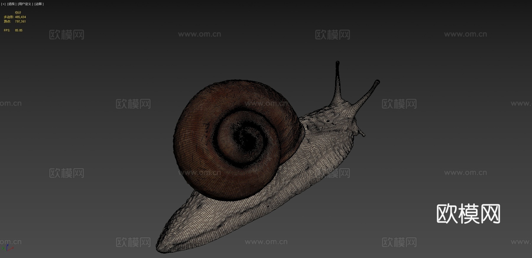 罗马蜗牛神经系统23d模型下载（渲染图4）