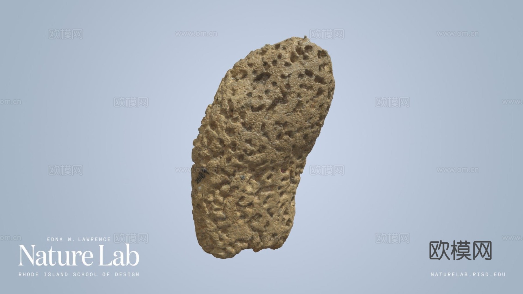 海绵3d模型下载（渲染图1）
