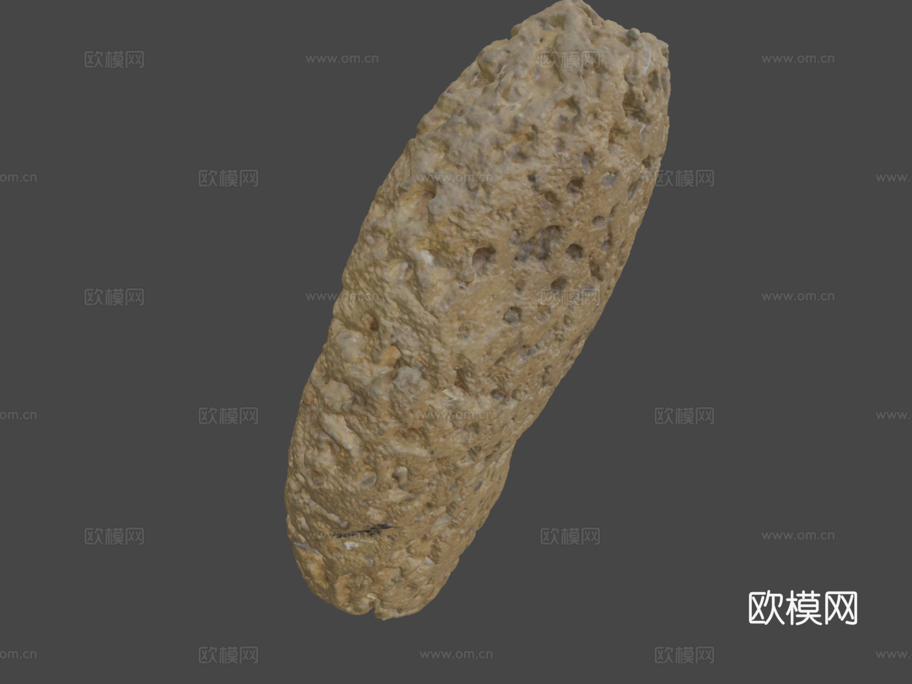 海绵3d模型下载（渲染图7）