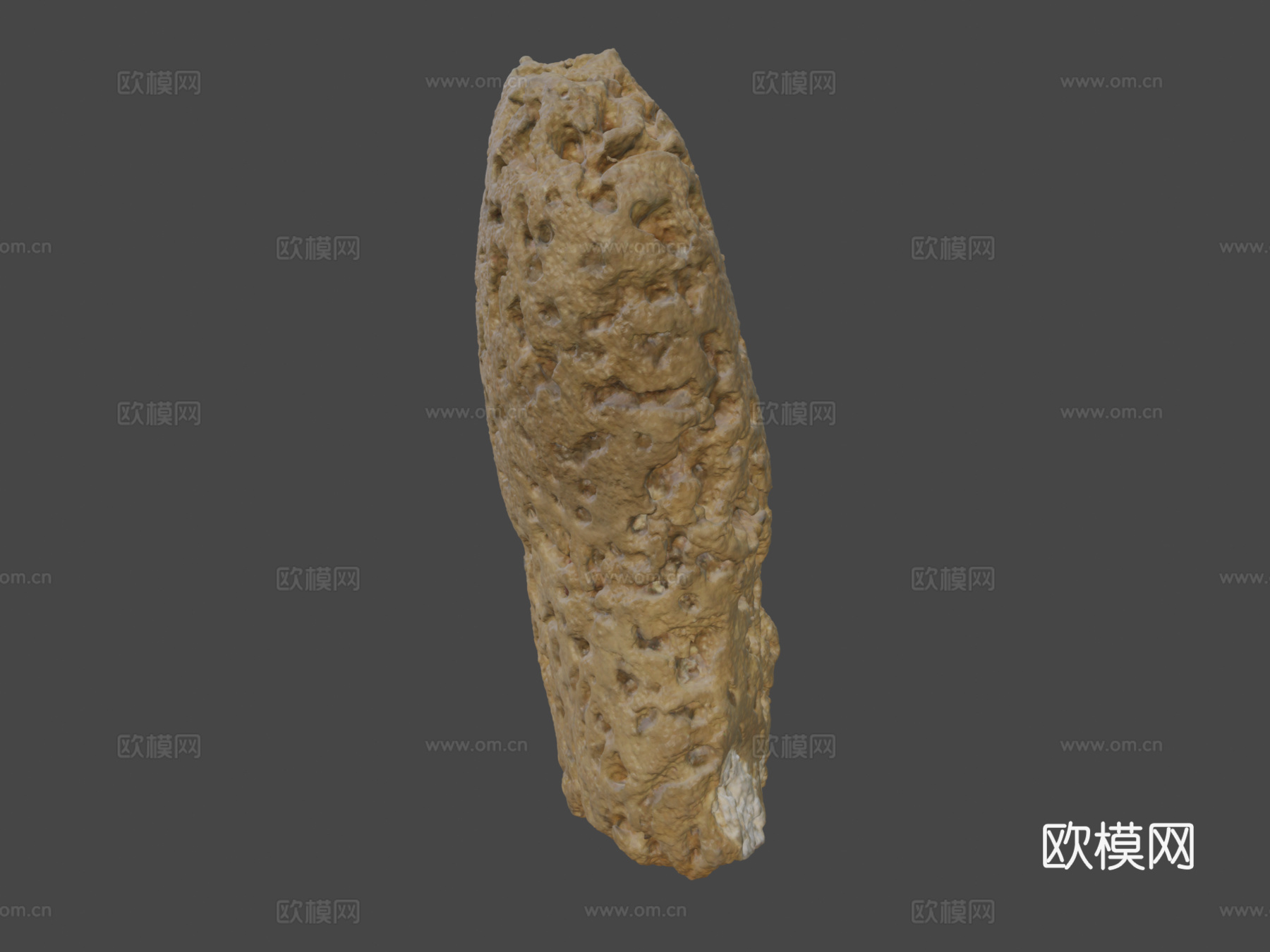 海绵3d模型下载（渲染图6）