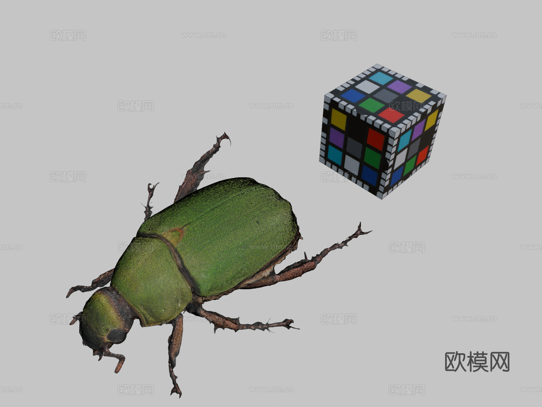 CC0青铜金龟蓝色甲虫A.albopilosa3d模型下载（渲染图2）