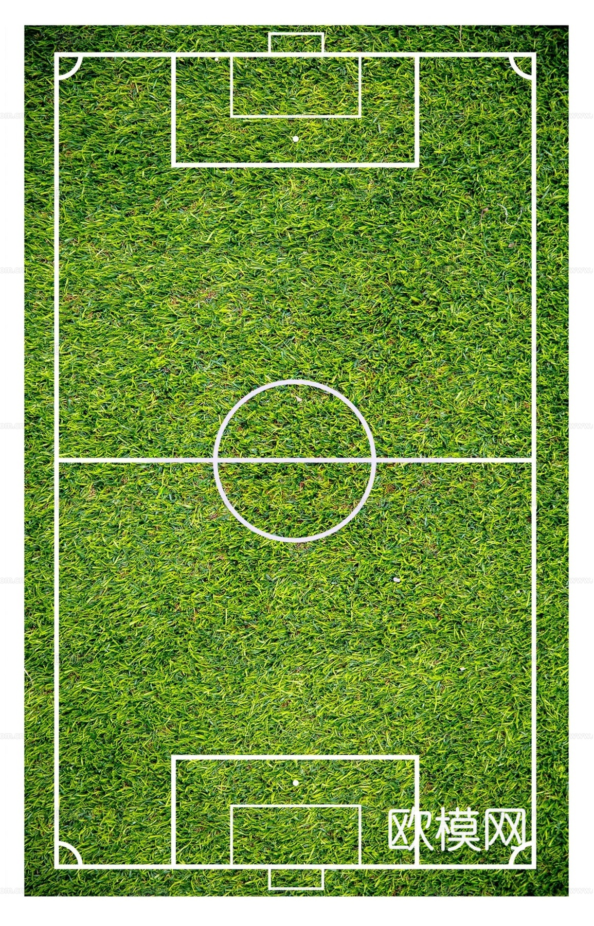 足球场运动场场地41