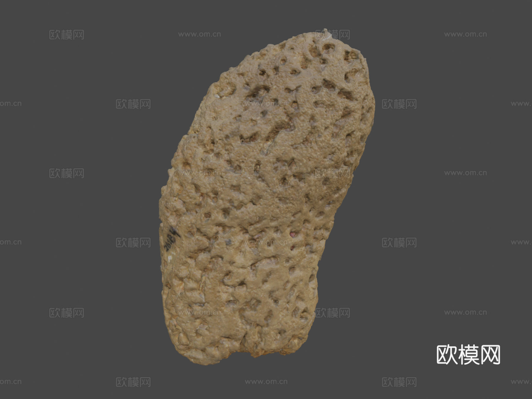 海绵3d模型下载（渲染图8）
