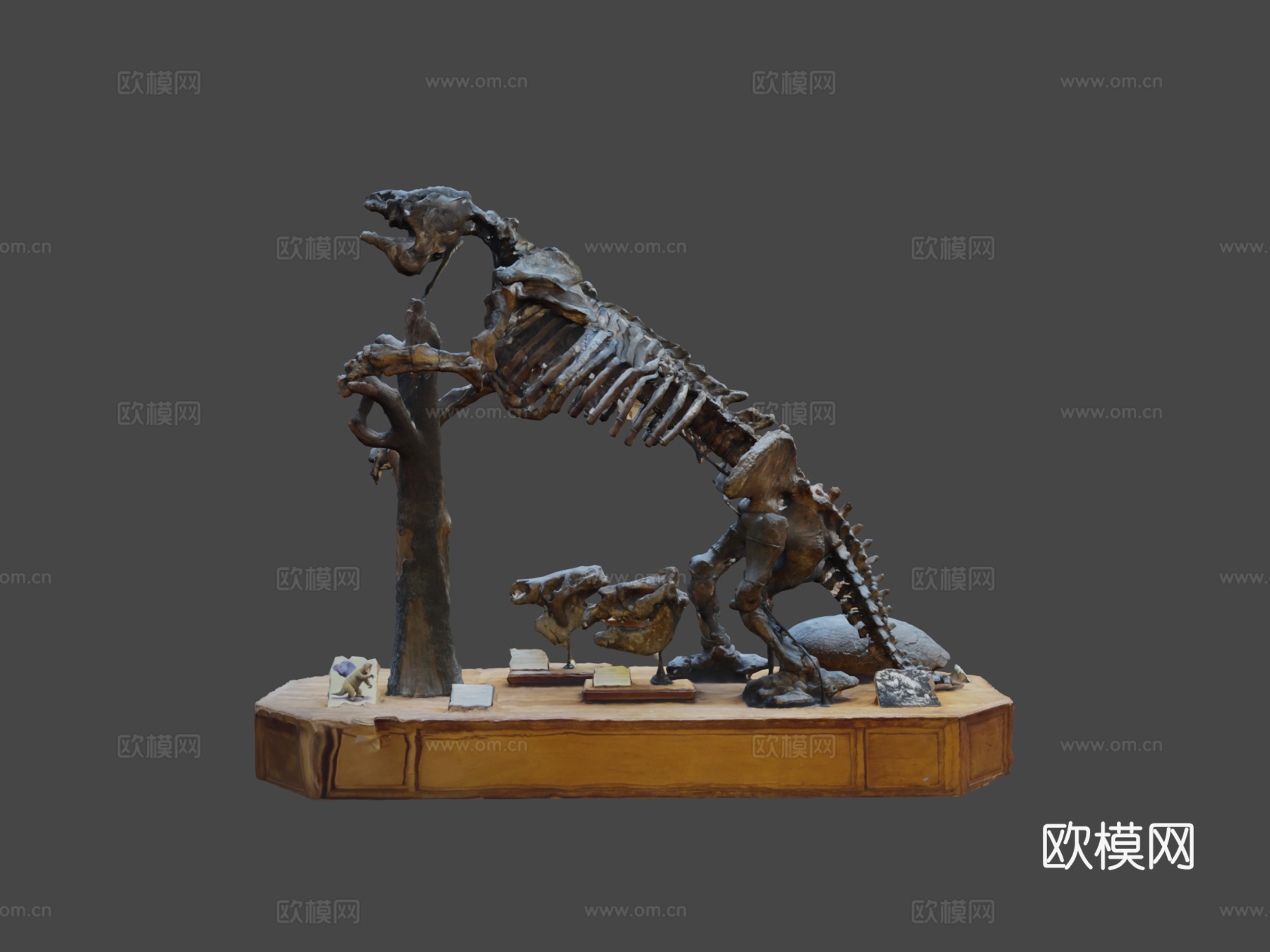 第300天大地懒巨型地懒3d模型下载（渲染图7）