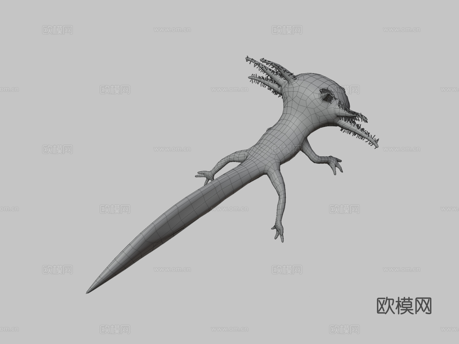 美西螈3d模型下载（渲染图3）